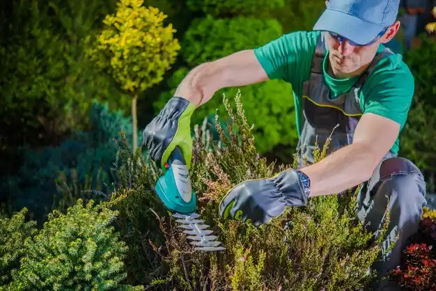 landscaping services North Fairfield